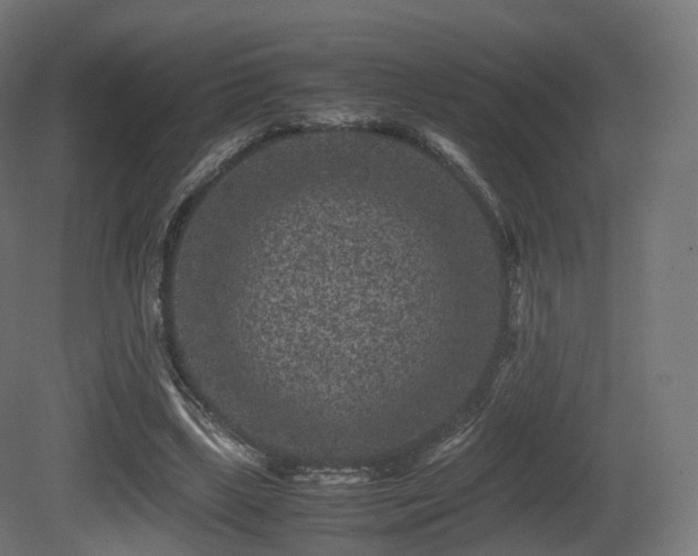X0000081410443200701121213