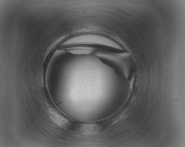 X0000081410446200701121213