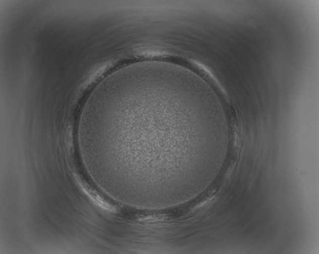 X0000081410447200701121213