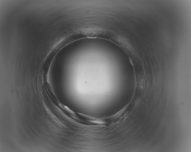 X0000081410448200701121213
