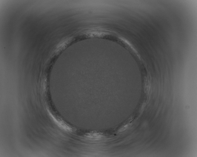 X0000081410451200701121213