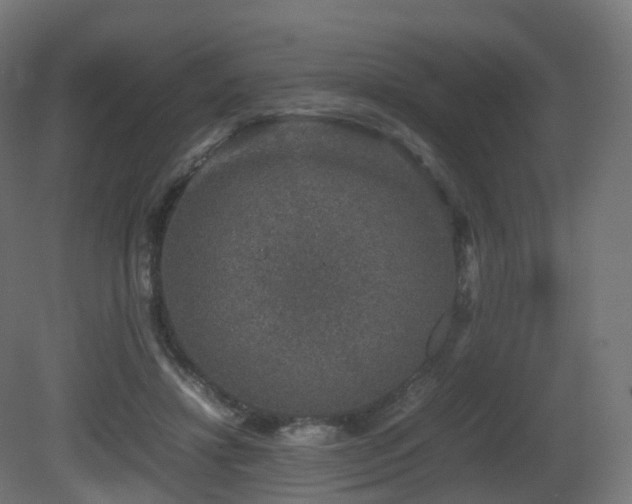 X0000081410452200701121213
