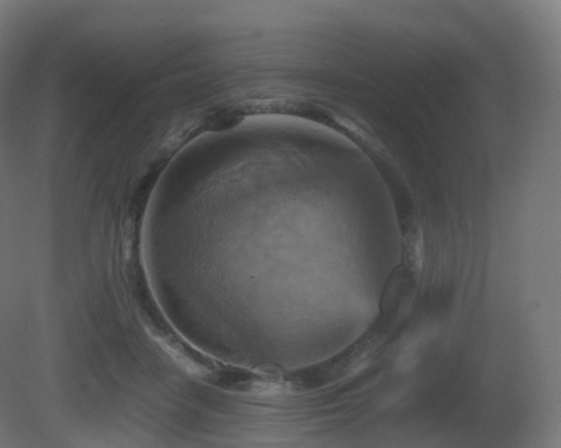 X0000081410458200701121214