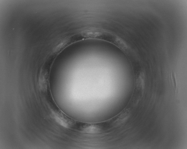 X0000081410460200701121214