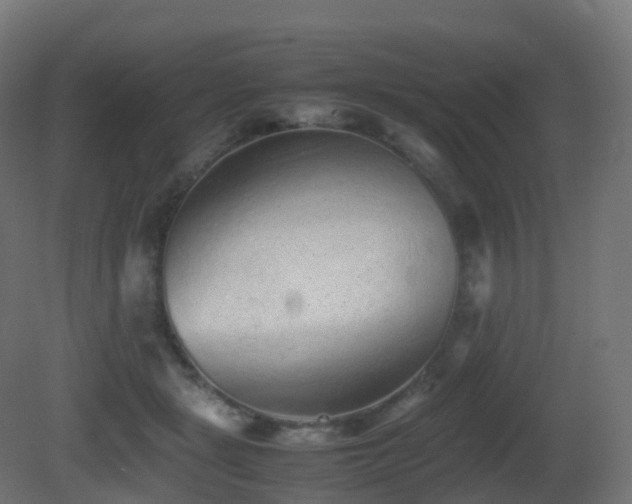 X0000081410461200701121214