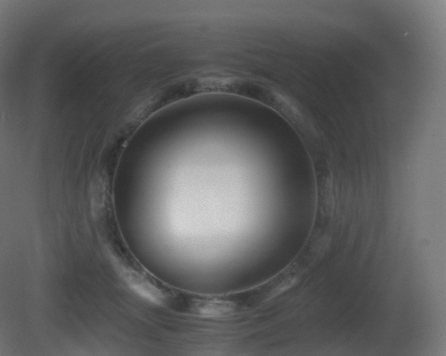 X0000081410463200701121214