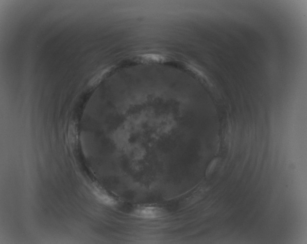 X0000081410467200701121214