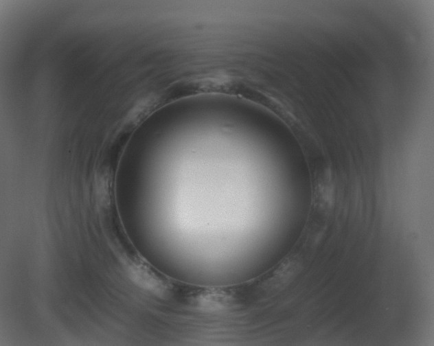X0000081410468200701121214
