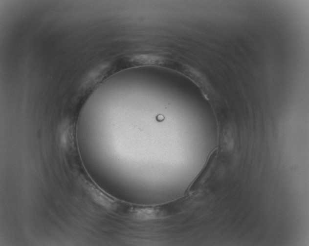 X0000081410473200701121214