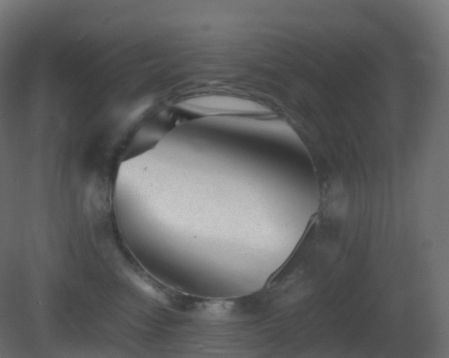 X0000081410474200701121214