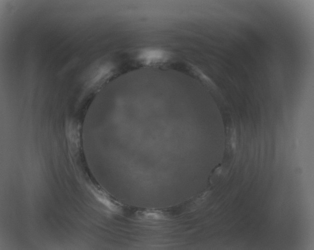 X0000081410475200701121214