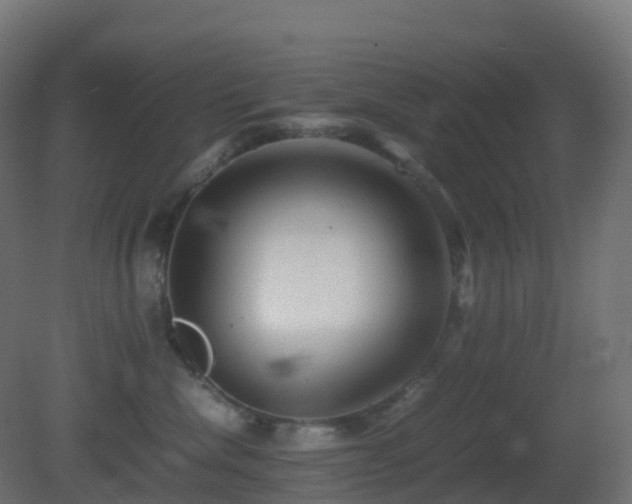 X0000081410476200701121214