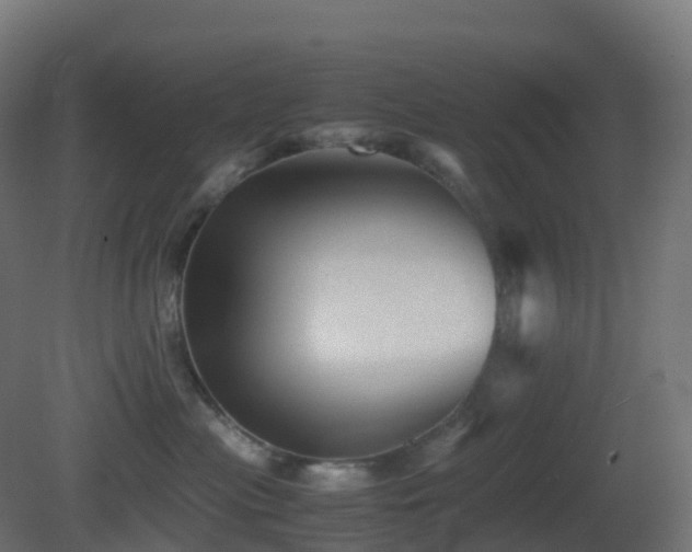X0000081410477200701121214