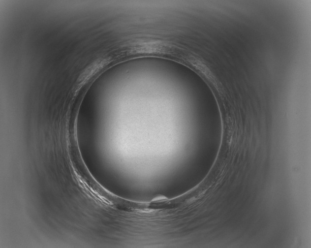 X0000081410482200701121213