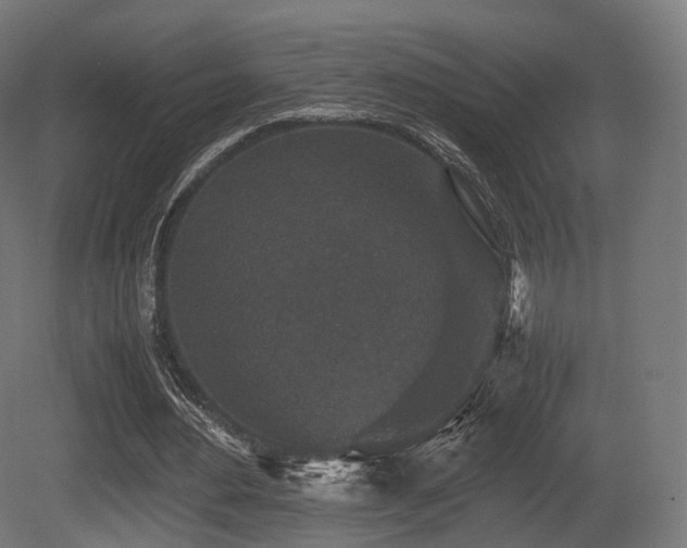 X0000081410484200701121213