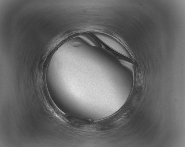 X0000081410485200701121213