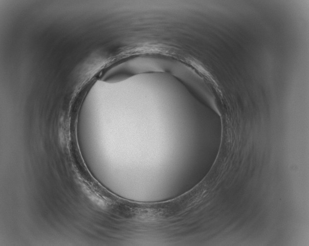 X0000081410486200701121213