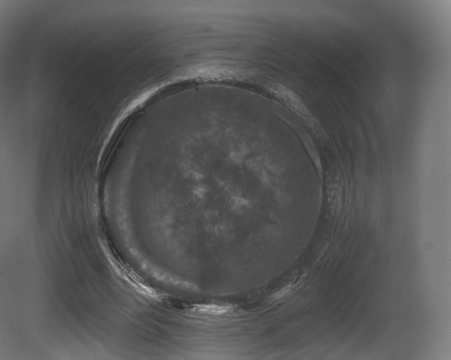 X0000081410488200701121213
