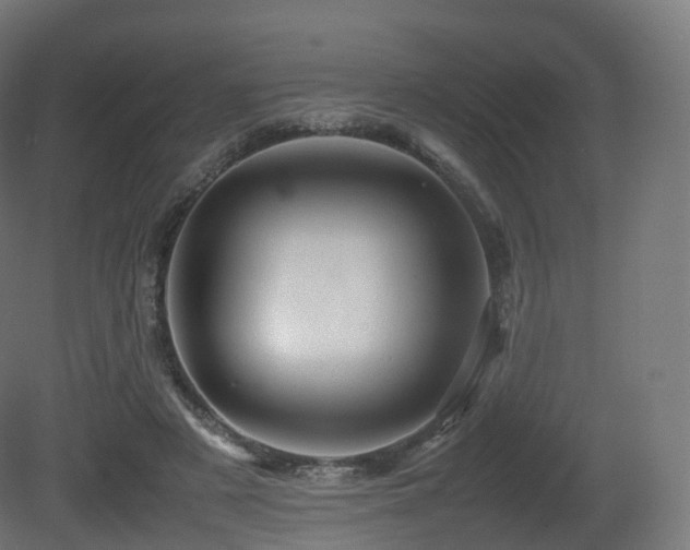 X0000081410497200701121213