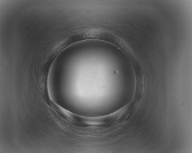 X0000081410505200701121213