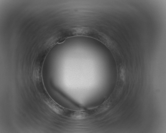 X0000081410514200701121213