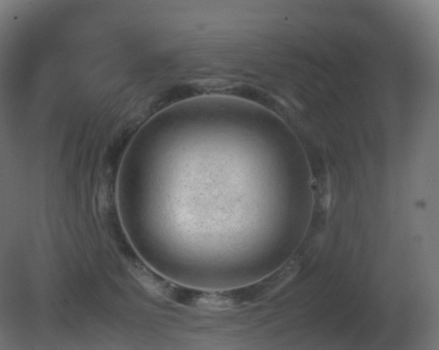 X0000081410515200701121212