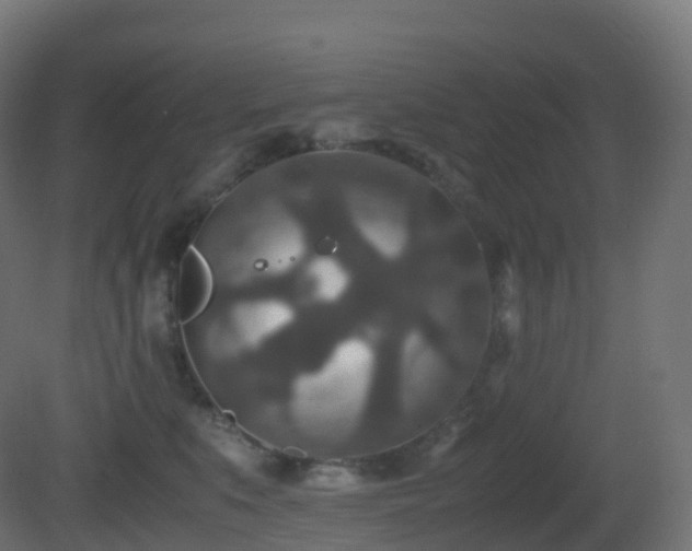 X0000081410519200701121212