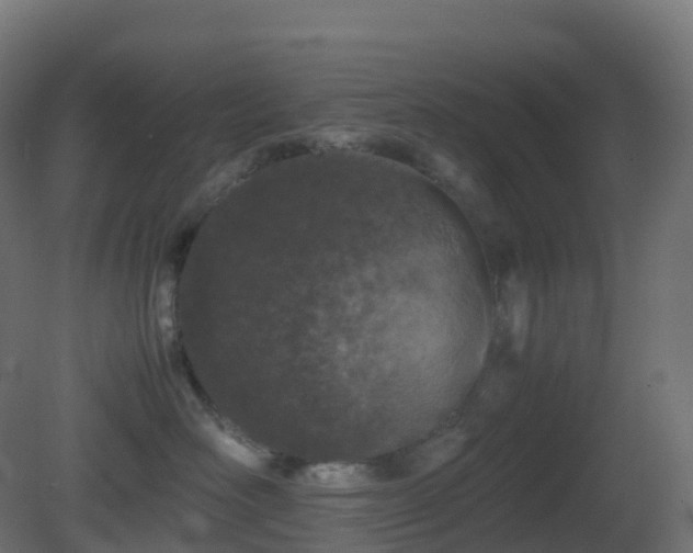 X0000081410526200701121212