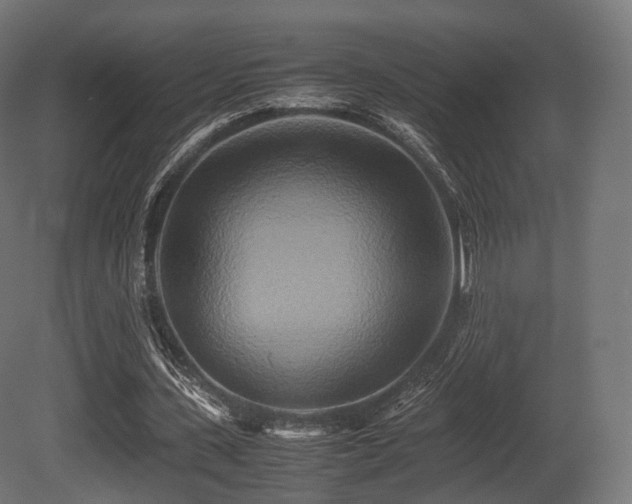 X0000081410531200701121211