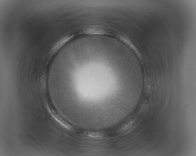X0000081410533200701121212