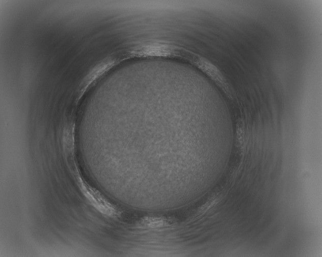 X0000081410534200701121212