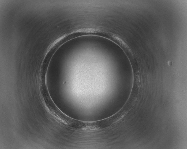 X0000081410536200701121212