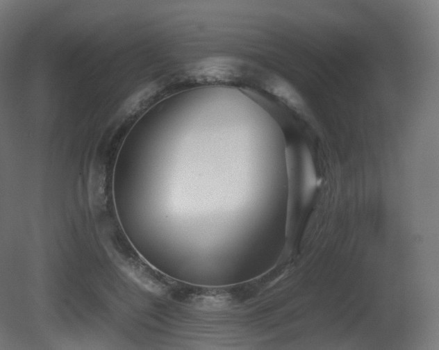 X0000081410548200701121212