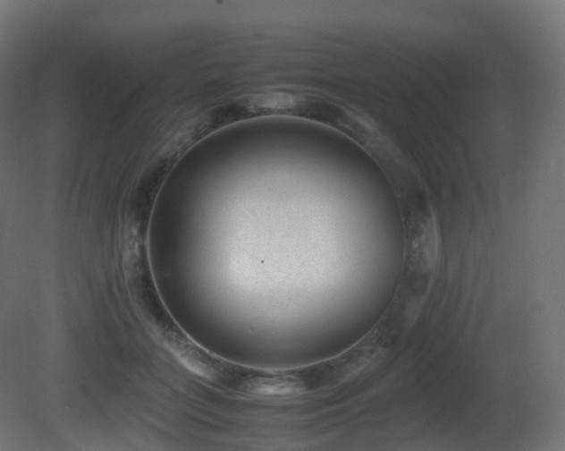 X0000081410555200701121212