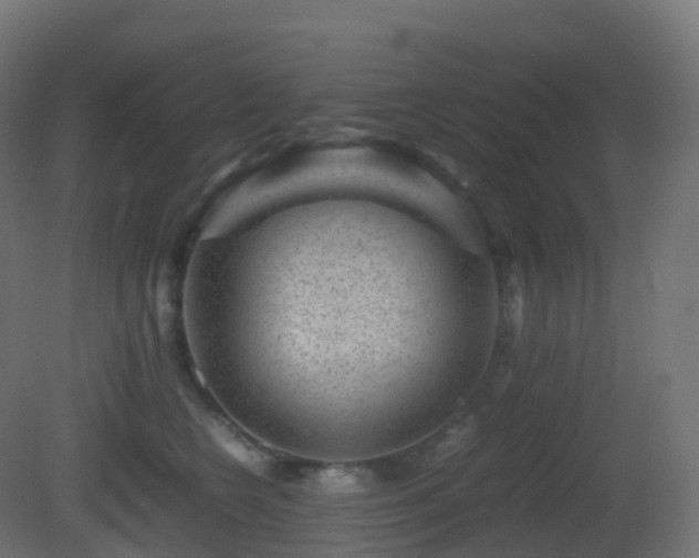 X0000081410566200701121212