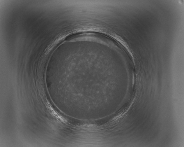 X0000081410577200701121211