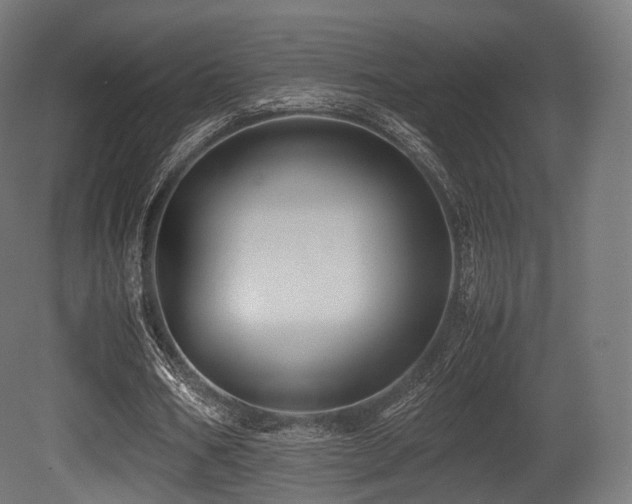 X0000081410578200701121211