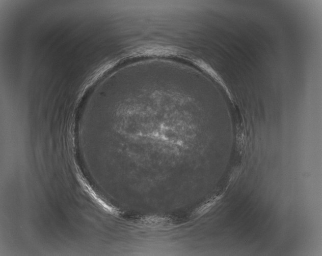 X0000081410581200701121211