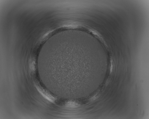 X0000081410596200701121211