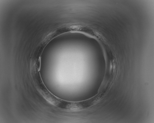 X0000081410597200701121211