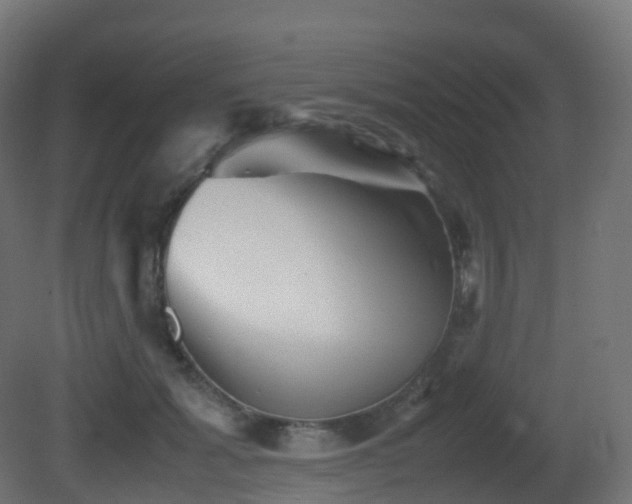 X0000081410605200701121211
