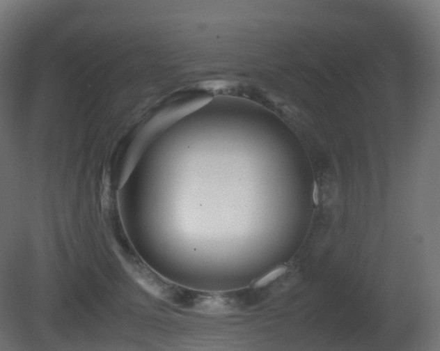 X0000081410611200701121211