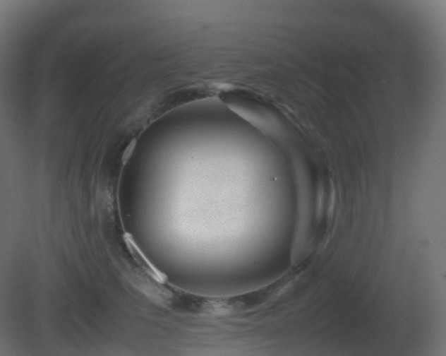 X0000081410613200701121211