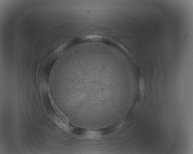 X0000081410617200701121211