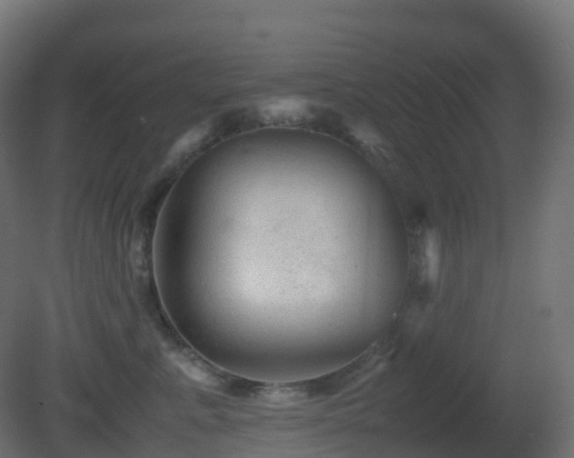 X0000081410619200701121211