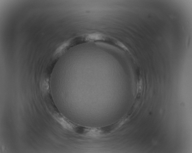 X0000081410621200701121211