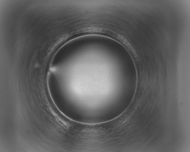 X0000081410625200701121210