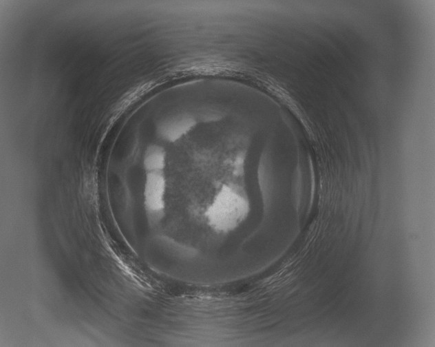 X0000081410626200701121210