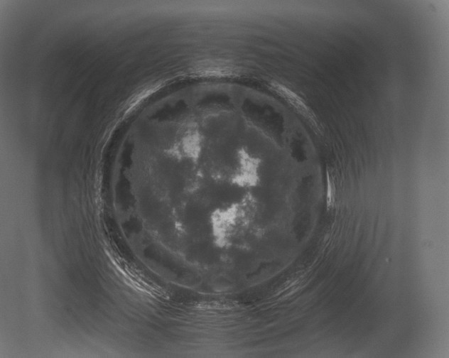 X0000081410627200701121210