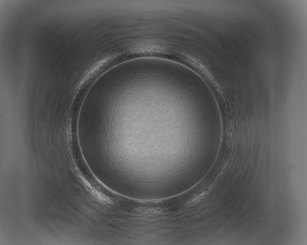X0000081410629200701121210